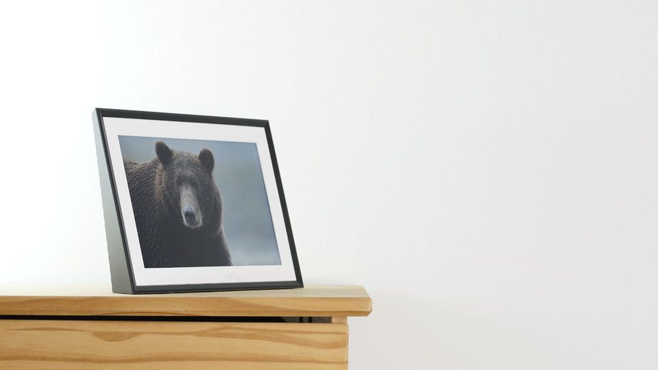 Digitaler Bilderrahmen Test: Aura Carver Mat 10