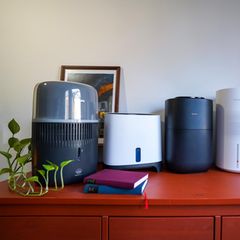 Luftbefeuchter Test: Fünf Modelle im Test