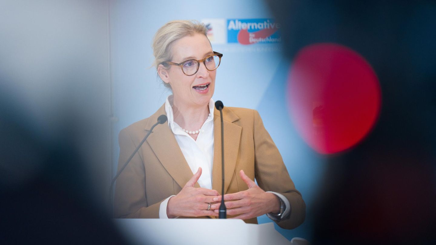 AfD-und-USA-Das-verflixte-Trump-Dilemma-der-Alice-Weidel