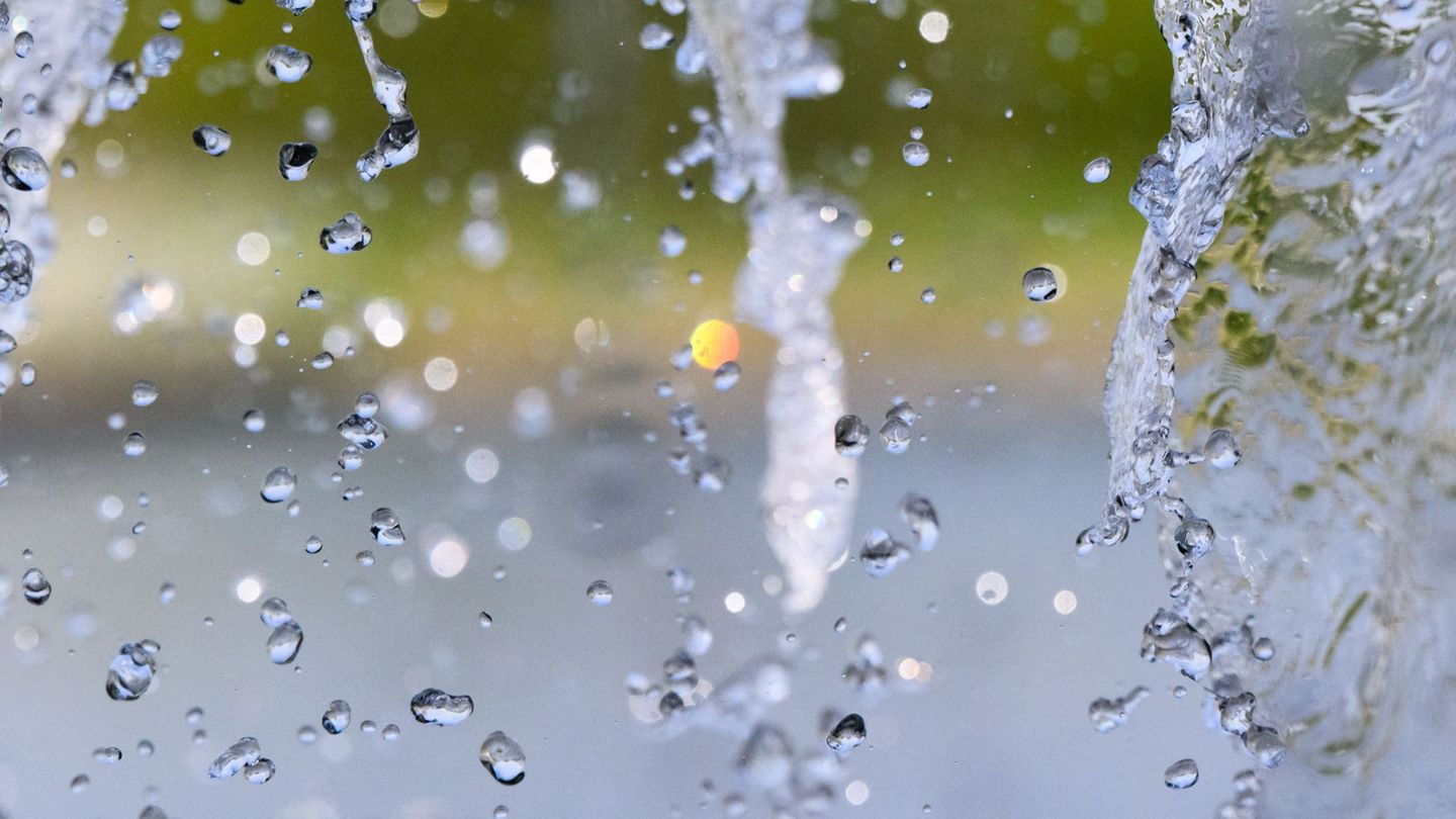 Die genauen Auswirkungen der Erwämung sind noch unklar. (Symbolbild) Foto: Julian Stratenschulte/dpa