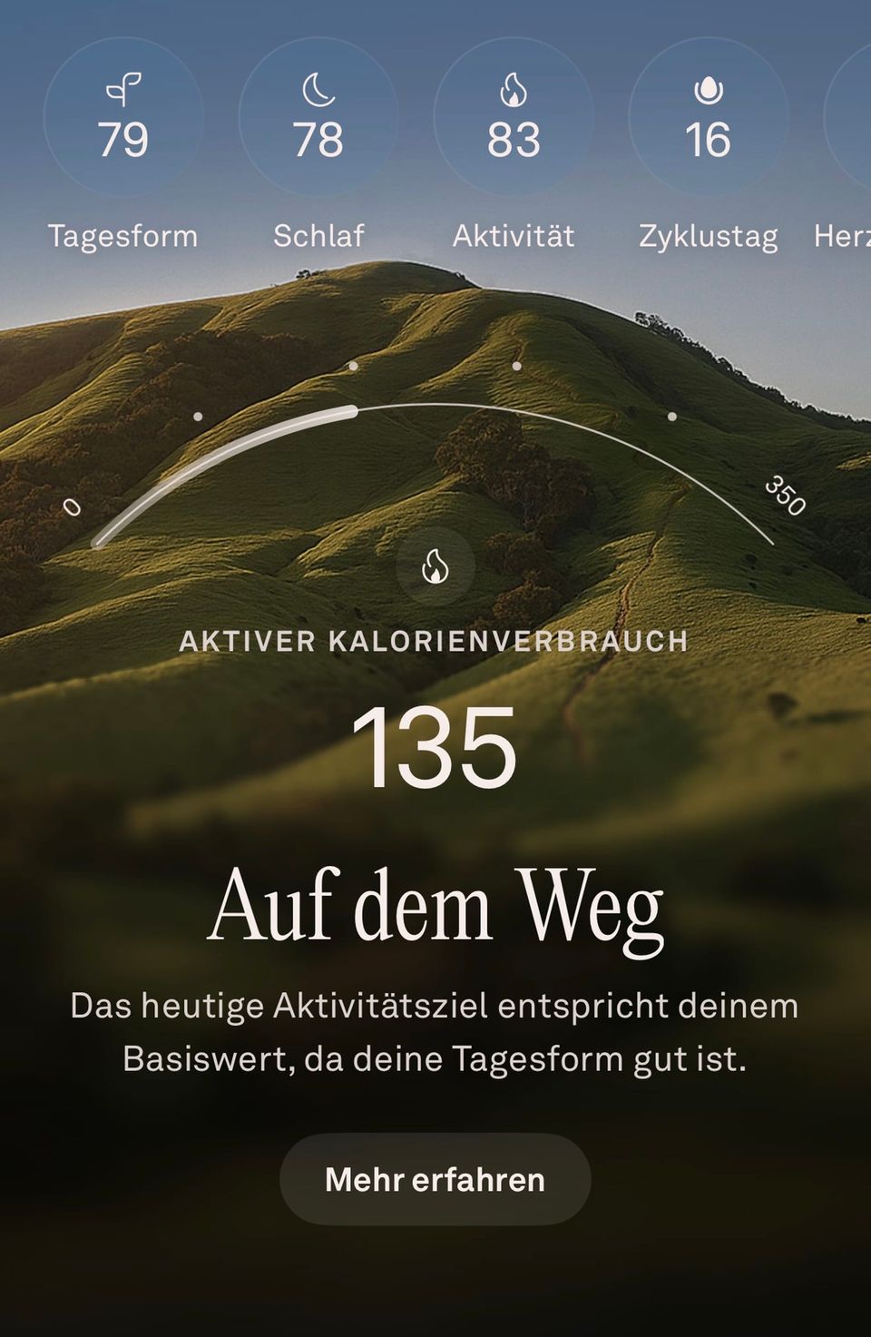 Die Benutzeroberfläche der App ist selbsterklärend und bietet viele Funktionen, Tipps und Einblicke