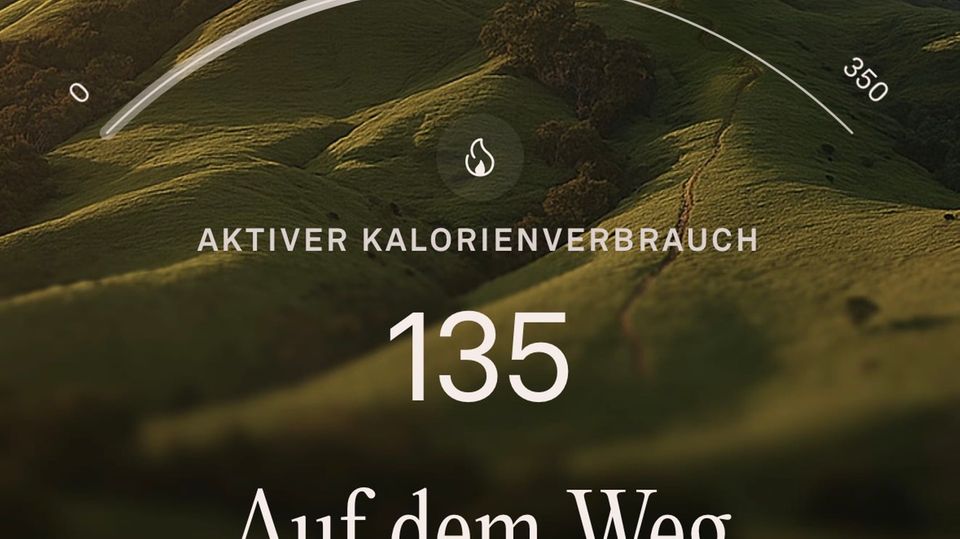 Die Benutzeroberfläche der App ist selbsterklärend und bietet viele Funktionen, Tipps und Einblicke