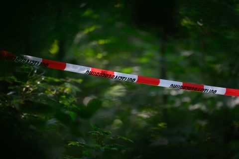 Der tödliche Schuss fiel in einem unwegsamen Waldgebiet bei Warburg. (Symbolbild) Foto: Robert Michael/dpa