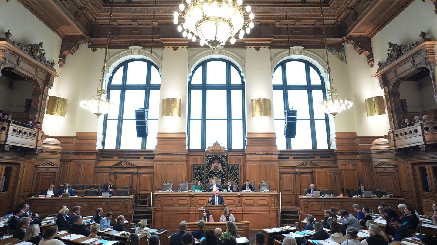 Die Geschichte der AfD ist für Hamburgs Innensenator Andy Grote (SPD) "die Geschichte einer einzigen kontinuierlichen Radikalisi