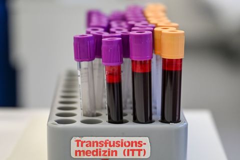 Eine Blutspende kann bis zu drei Menschen helfe (Symbolbild). Foto: Jens Kalaene/dpa