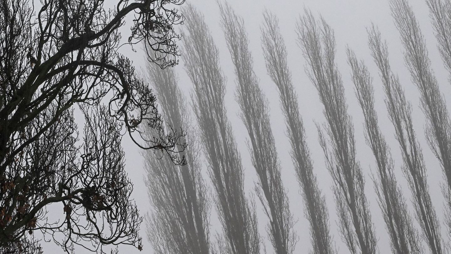 Auch am Donnerstagmorgen bleibt es stellenweise neblig. (Archivbild) Foto: Jens Kalaene/dpa