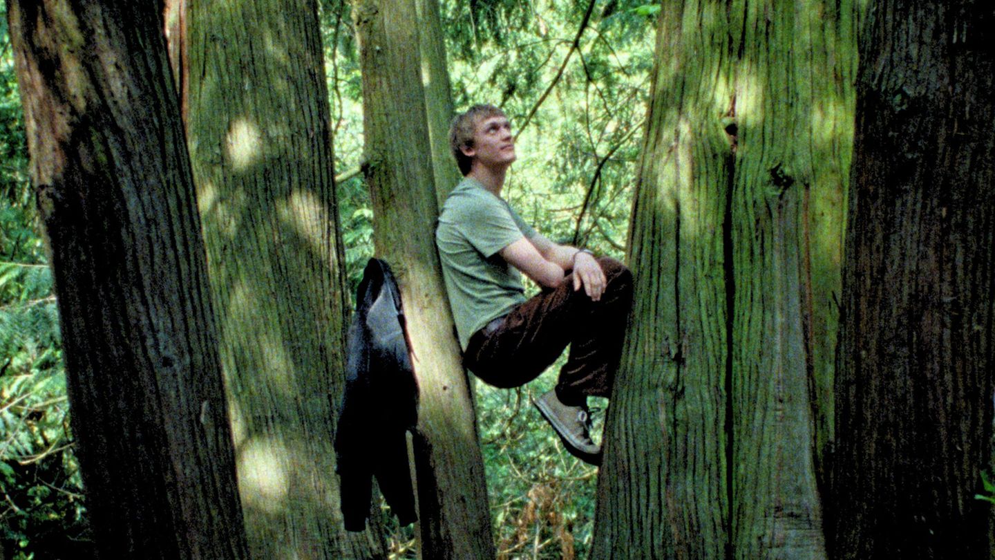 Enzo Brumm als Student Hannes in einer Szene des Films. Foto: -/Pandora Film/dpa