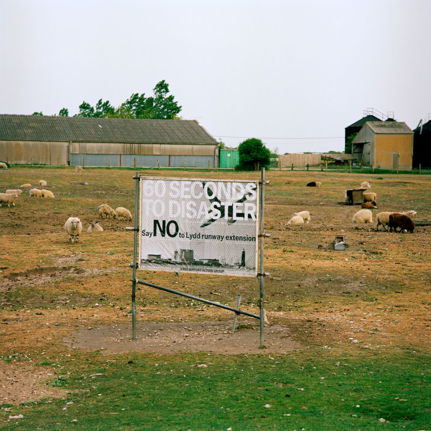 Ein Feld mit Schafen auf dem ein graues Schild mit der Aufschrift 60 seconds to desaster