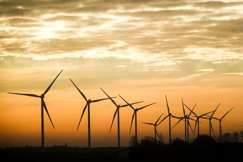 143 neue Windräder sind 2025 in Schleswig-Holstein gebaut worden. (Archivbild) Foto: Christian Charisius/dpa