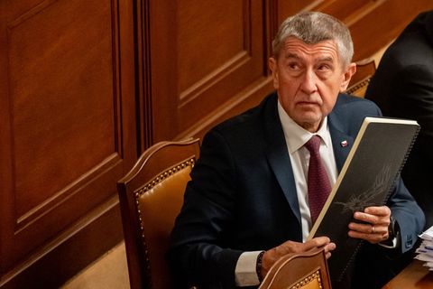 Ein Gericht hat einen Rentner verurteilt, der den jetzigen tschechischen Regierungschef Andrej Babis im Wahlkampf attackiert hat