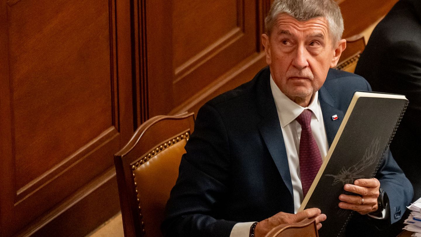 Ein Gericht hat einen Rentner verurteilt, der den jetzigen tschechischen Regierungschef Andrej Babis im Wahlkampf attackiert hat