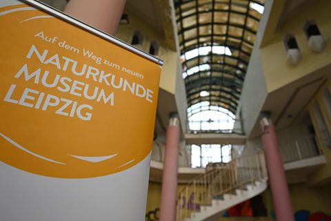 Im ehemaligen "Bowlingtreff" am Leipziger Wilhelm-Leuschner-Platz soll das neue Leipziger Naturkundemuseum entstehen. Foto: Davi