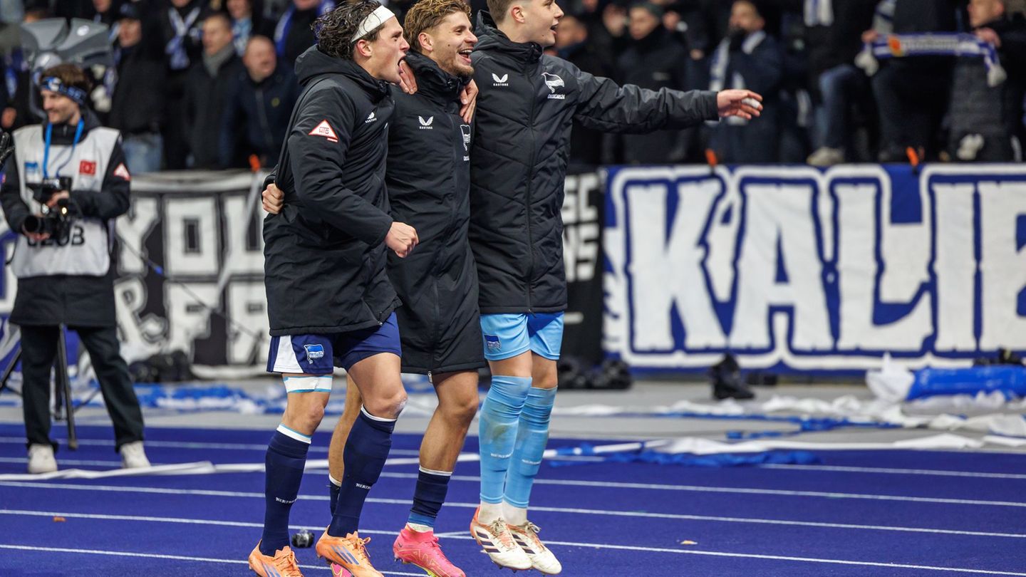 Der Einsatz von Reese (l.) und Dardai (m.) für Hertha BSC gegen Schalke ist ungewiss. (Archivbild) Foto: Andreas Gora/dpa