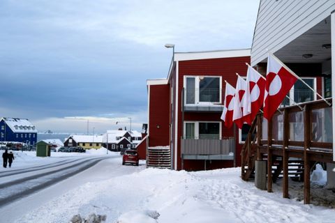 Grönländische Flaggen in der Hauptstadt Nuuk