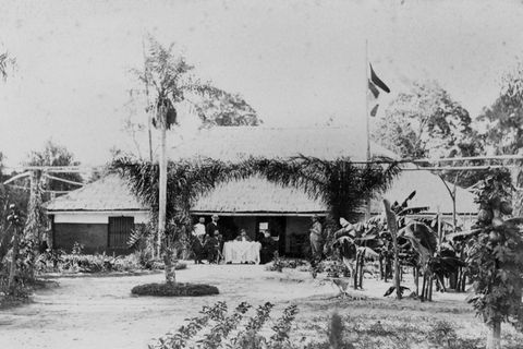 Haus zwischen Palmen