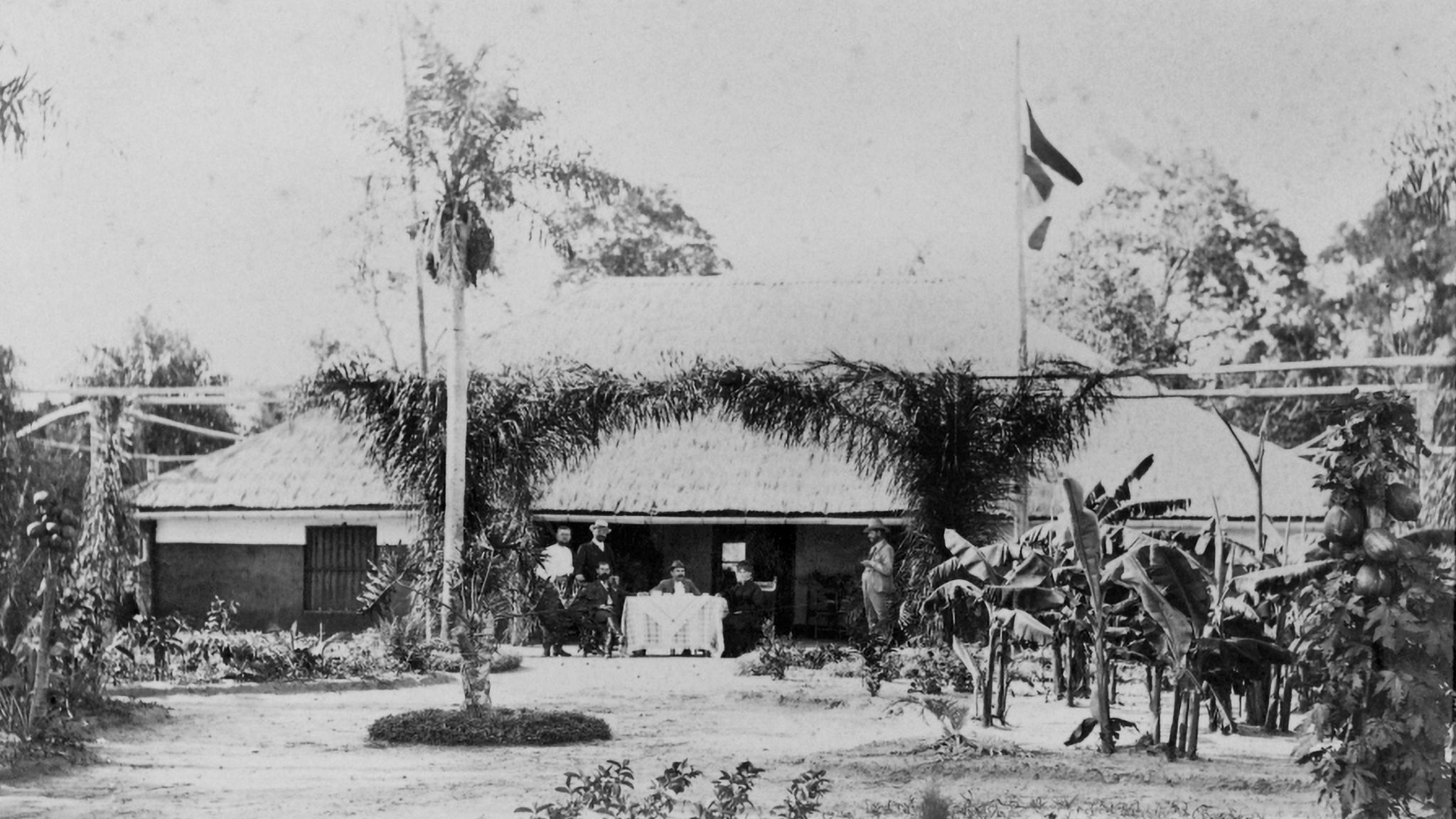 Haus zwischen Palmen