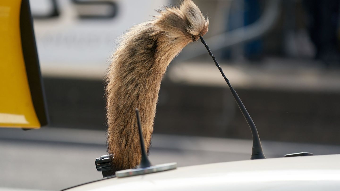 Der Fuchsschanz war für viele Fahrer des Opel Manta unverzichtbar. Foto: Thomas Frey/dpa