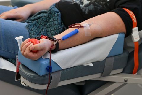 Derzeit werden die Blutkonserven knapp. Grünen-Politiker Janosch Dahmen fordert daher flexiblere Modelle für das Spenden - etwa
