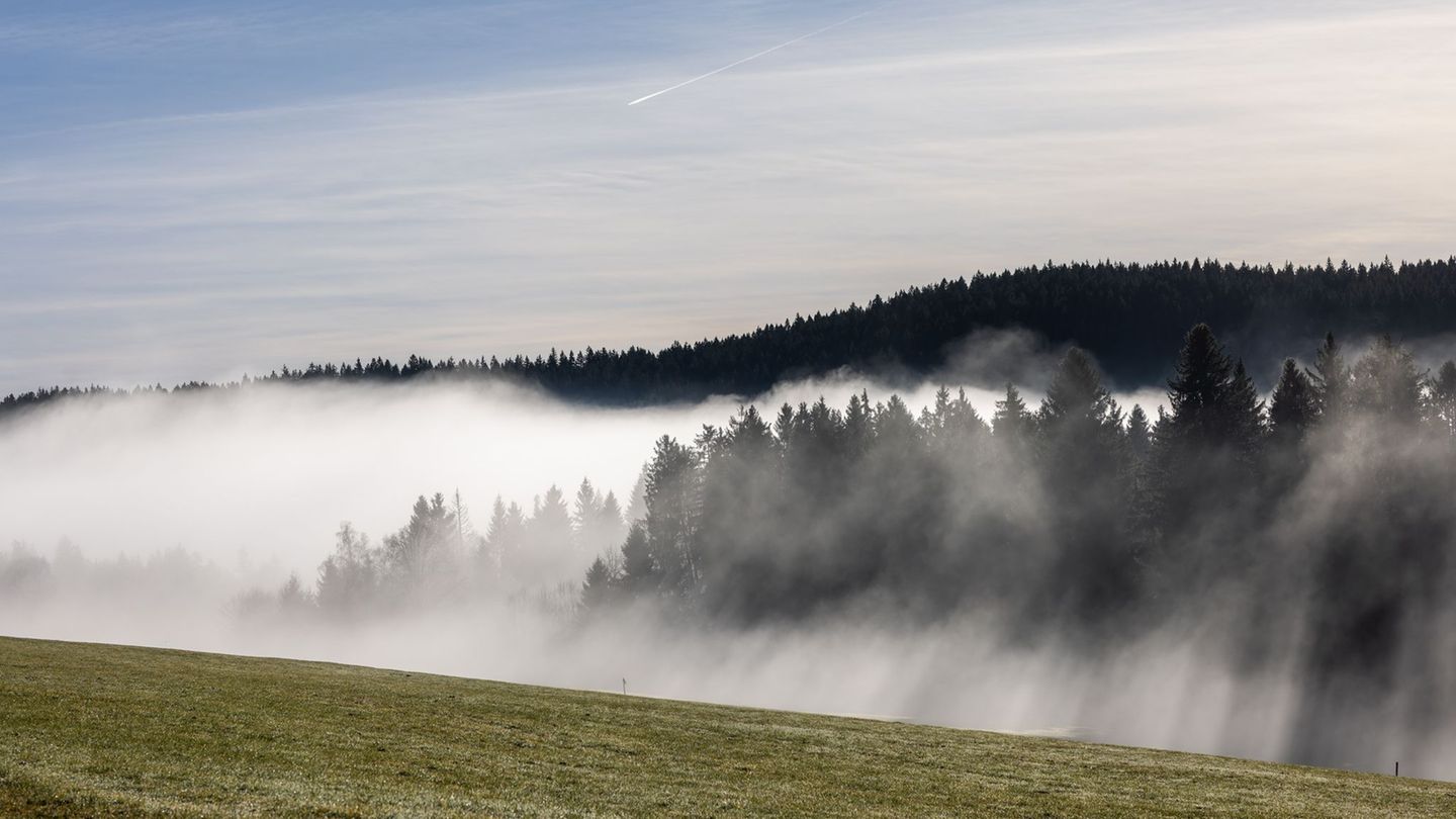 Während es im Tal eher trüb bleiben dürfte, zeigt sich in den Höhenlagen von Schwarzwald und Schwäbischer Alb laut DWD am Wochen