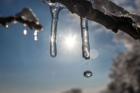Sonne und Plusgrade - wo noch Schnee liegt, taut es weiter. (Archivbild) Foto: Frank Rumpenhorst/dpa