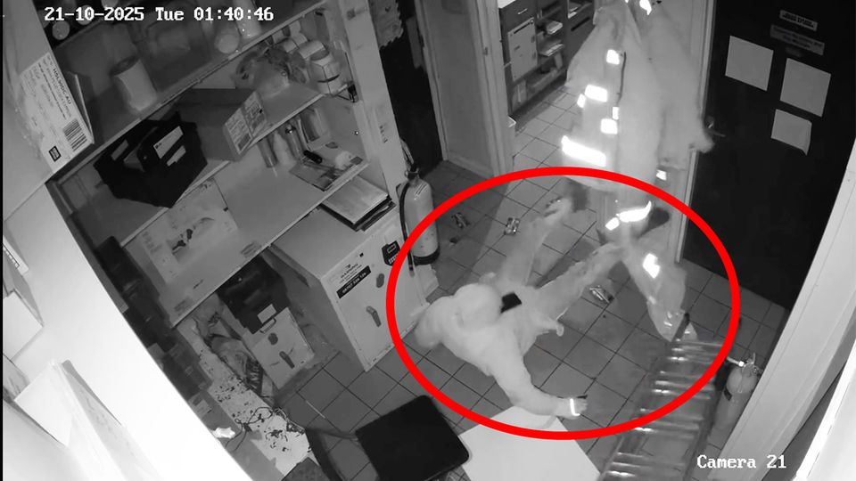 Dieb stürzt von der Decke