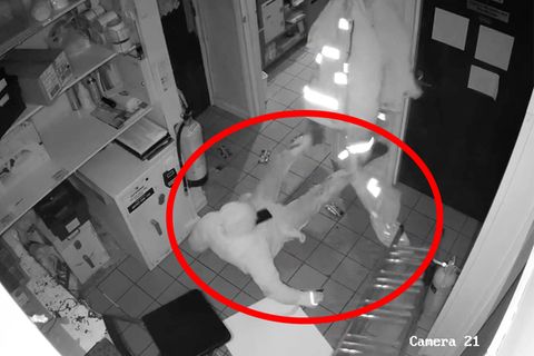 Dieb stürzt von der Decke