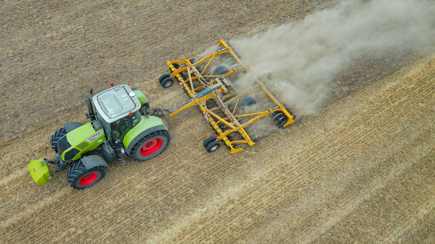 Bei der Grünen Woche ein Berlin geht es um die Zukunft der Landwirtschaft. (Symbolbild) Foto: Patrick Pleul/dpa