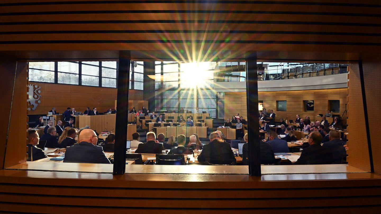Regierungskoalition stimmte nicht einheitlich gegen AfD-Antrag. (Symbolbild) Foto: Martin Schutt/dpa