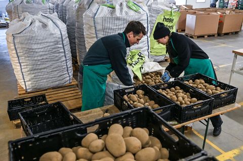 1.000 Kilo war die Mindestabnahmemenge. Foto: Jens Kalaene/dpa