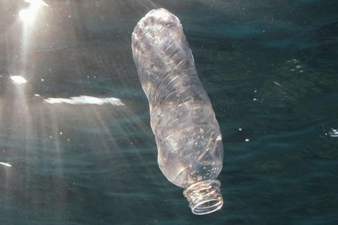 Eine weggeworfene Plastikflasche treibt im Roten Meer vor Ägypten und wird von der Sonne angestrahlt
