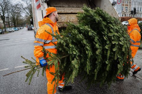 Nicht alle Weihnachtsbäume konnten in diesem Jahr rechtzeitig abgeholt werden. (Archivfoto) Foto: Christian Charisius/dpa