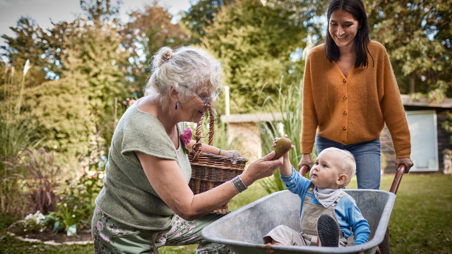 Erbschaftssteuer: Wer was steuerfrei erben darf – und was sich ändern könnte