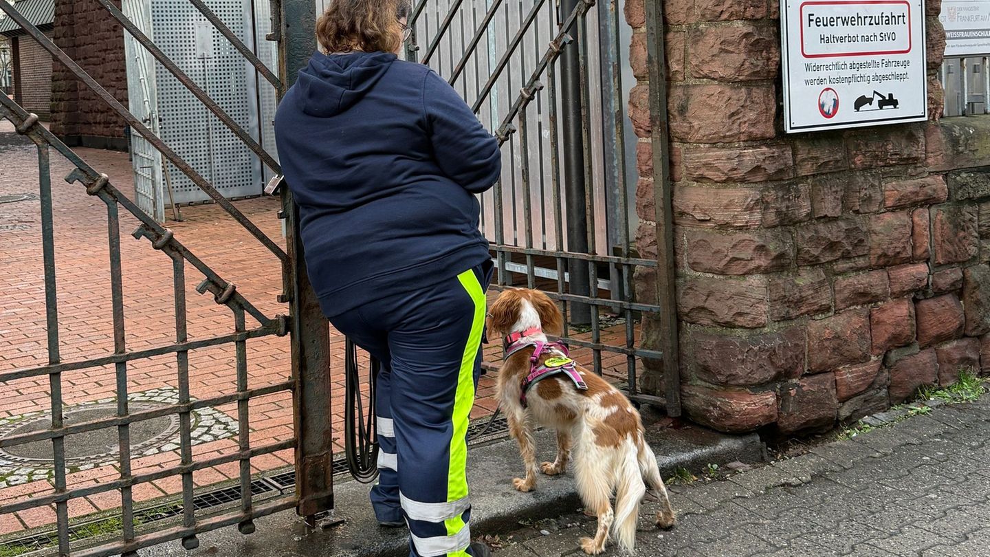 Notfälle: Vermisster Achtjähriger aus Frankfurt wohlbehalten gefunden