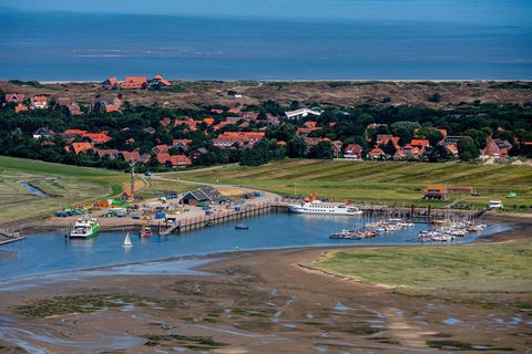 Für die Glasfaseranbindung Spiekeroogs wird ein Kabel durchs Watt gelegt. (Symbolbild) Foto: Hauke-Christian Dittrich/dpa