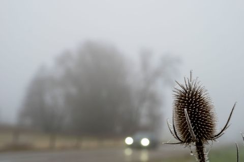 Trübes Wetter bestimmt den Samstag in weiten Teilen des Freistaats. (Archivbild) Foto: Stefan Puchner/dpa