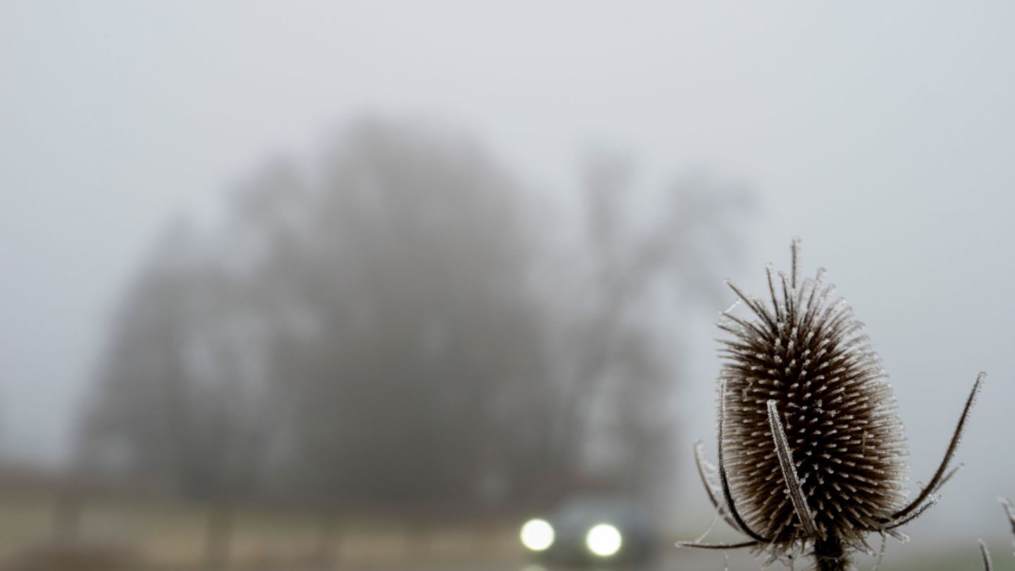 Trübes Wetter bestimmt den Samstag in weiten Teilen des Freistaats. (Archivbild) Foto: Stefan Puchner/dpa