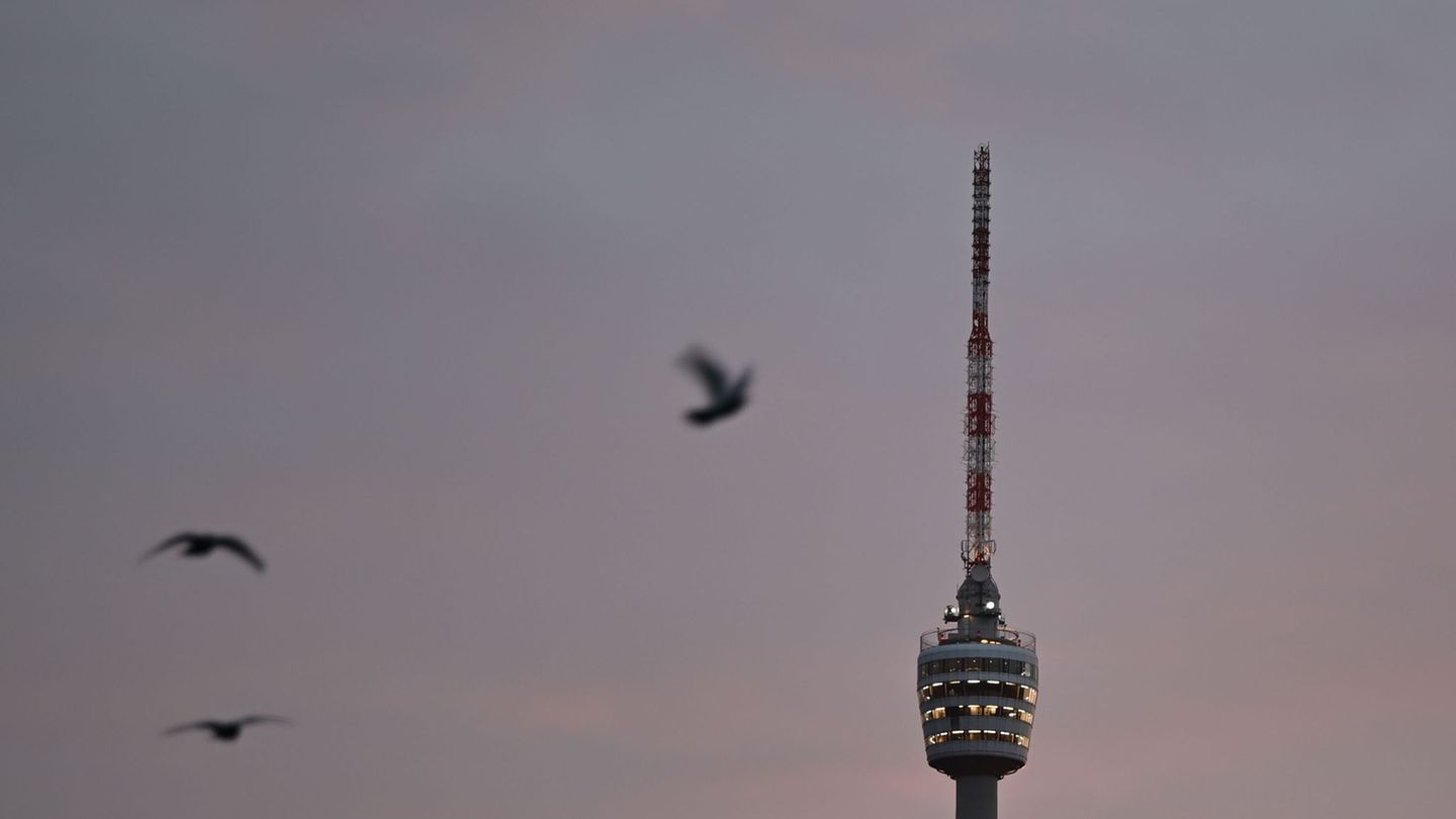 Der Winter zeigt sich von seiner grauen Seite. (Archivbild) Foto: Katharina Kausche/dpa