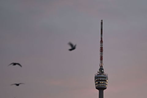Der Winter zeigt sich von seiner grauen Seite. (Archivbild) Foto: Katharina Kausche/dpa