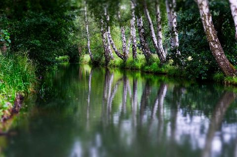Ein Test für den Hochwasserschutz ist in diesem Jahr bei Burg im Spreewald in den Gewässern geplant. (Archivbild) Foto: Jens Kal