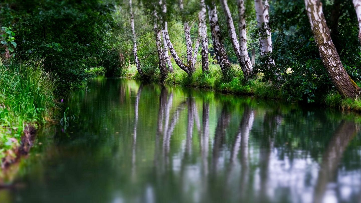 Ein Test für den Hochwasserschutz ist in diesem Jahr bei Burg im Spreewald in den Gewässern geplant. (Archivbild) Foto: Jens Kal