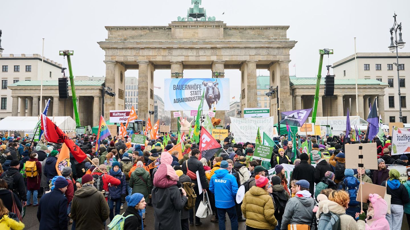 Am Brandenburger Tor in Berlin fordern Demonstranten unter dem Motto "Wir haben es satt" eine andere Landwirtschaftspolitik. Fot