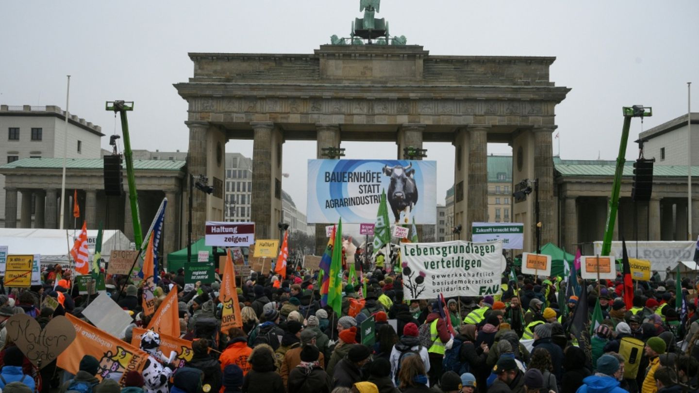 "Wir habe es satt"-Demo in Berlin