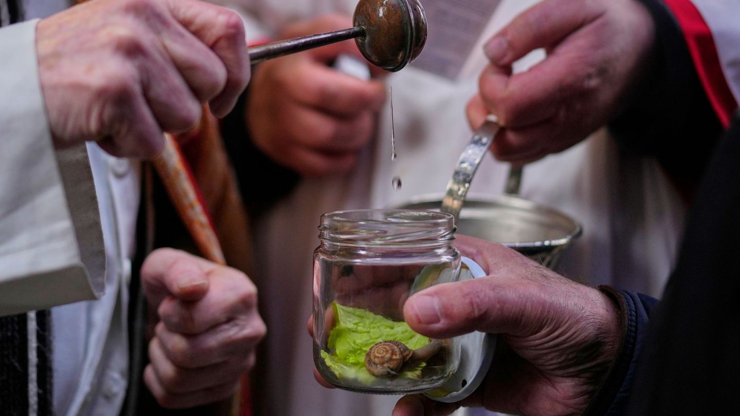 Die Tradition der katholischen Tiersegnung geht auf das Mittelalter zurück. Früher ließen die Bauern ihr Vieh segnen, heute sind