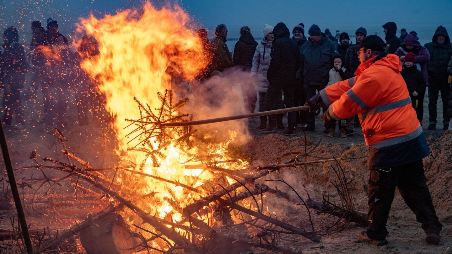 Ein letztes Mal sorgen Weihnachtsbäume in Stralsund für eine warme Atmosphäre. Foto: Stefan Sauer/dpa