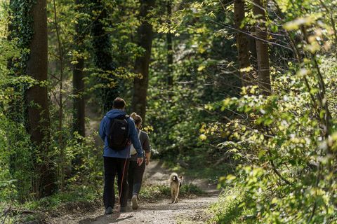Neben Ausflugszielen in den Städten bietet Hessen auch viele Möglichkeiten für Outdoor-Aktivitäten. (Archivbild) Foto: Andreas A