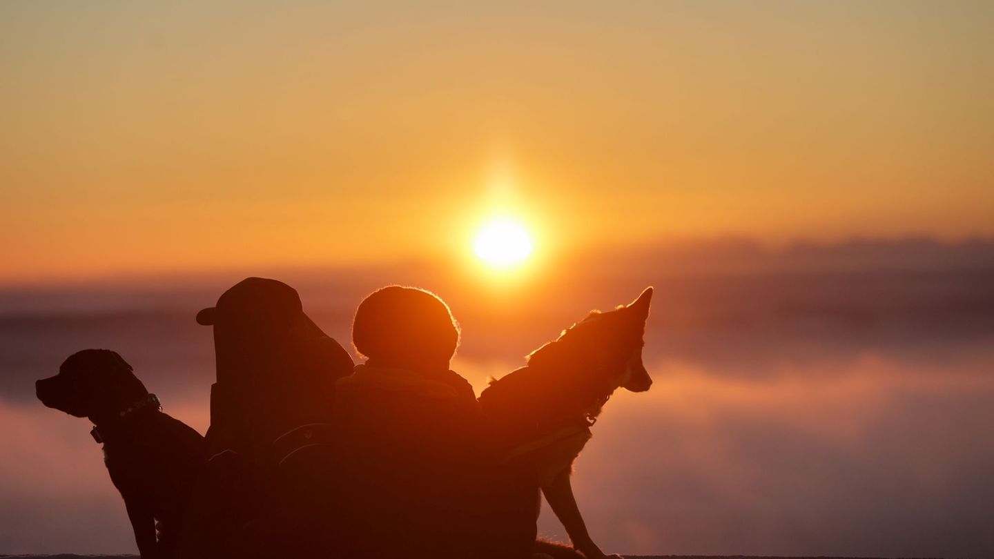 In den höheren Lagen Baden-Württembergs scheint am Sonntag oft die Sonne. (Archivbild) Foto: Thomas Warnack/dpa