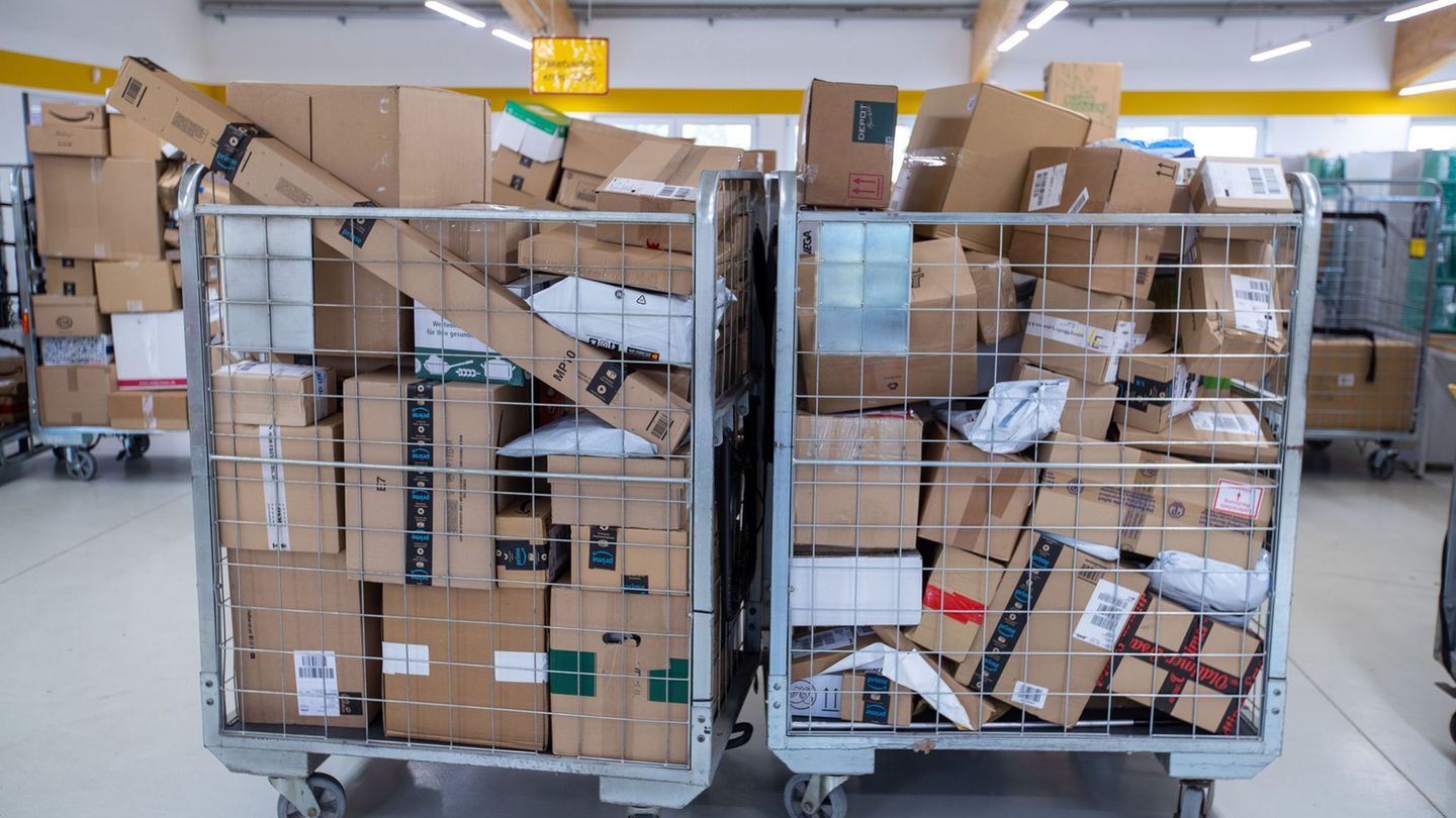 Paketzusteller klingeln täglich an vielen Türen. (Symboldbild) Foto: Jens Büttner/dpa-Zentralbild/ZB