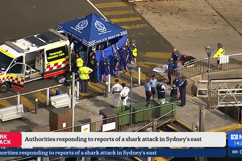 Nach einem mutmaßlichen Haiangriff ist ein Junge in kritischem Zustand. Foto: Supplied/AUSTRALIAN BROADCASTING CORPORATION (ABC)