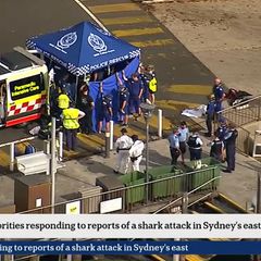 Nach einem mutmaßlichen Haiangriff ist ein Junge in kritischem Zustand. Foto: Supplied/AUSTRALIAN BROADCASTING CORPORATION (ABC)