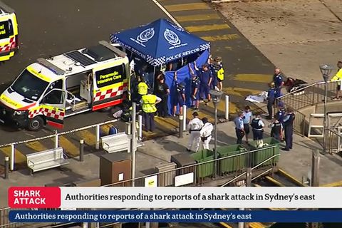 Sydney: Hilfskräfte kümmern sich nach einer mutmaßliche Haiattacke um einen Jugendlichen